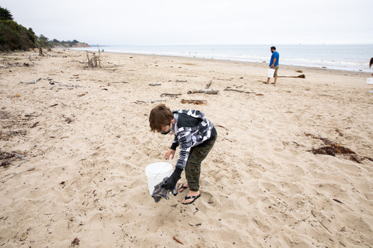 Check out past Beach Clean Ups